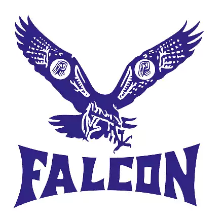 Syarikat Produk Plastik Falcon ialah syarikat saham bersama tertutup.