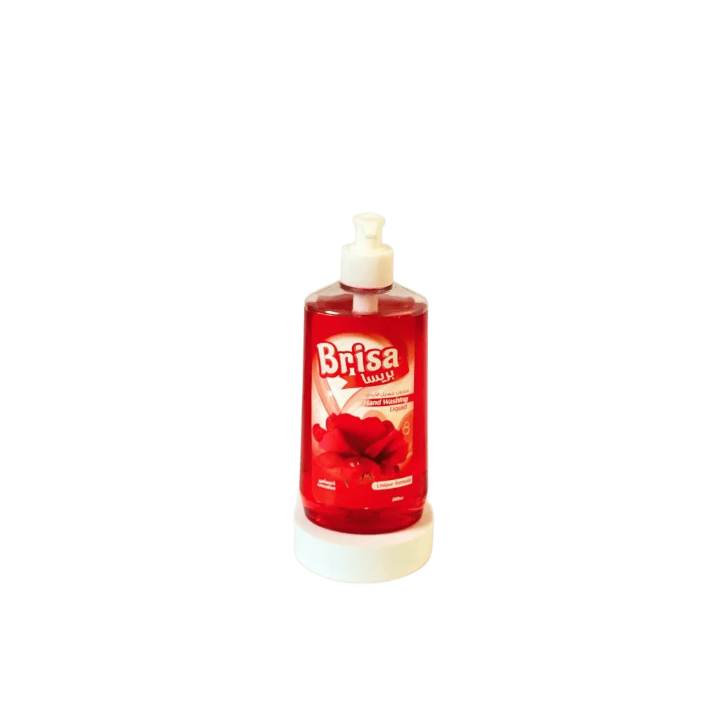 BRISA Handwash 500ML X 12 / SENSATION