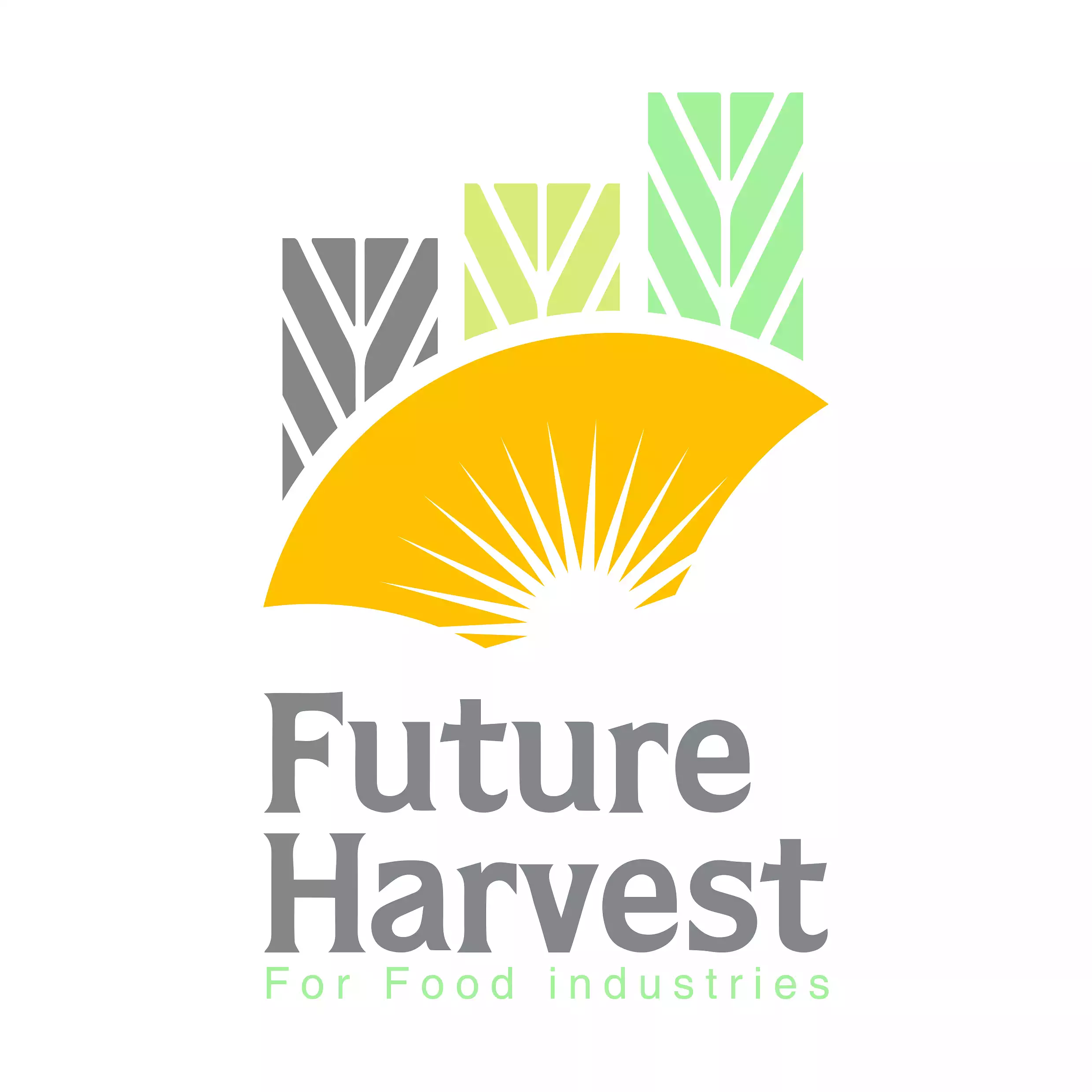 Future Qitaf Industries Company