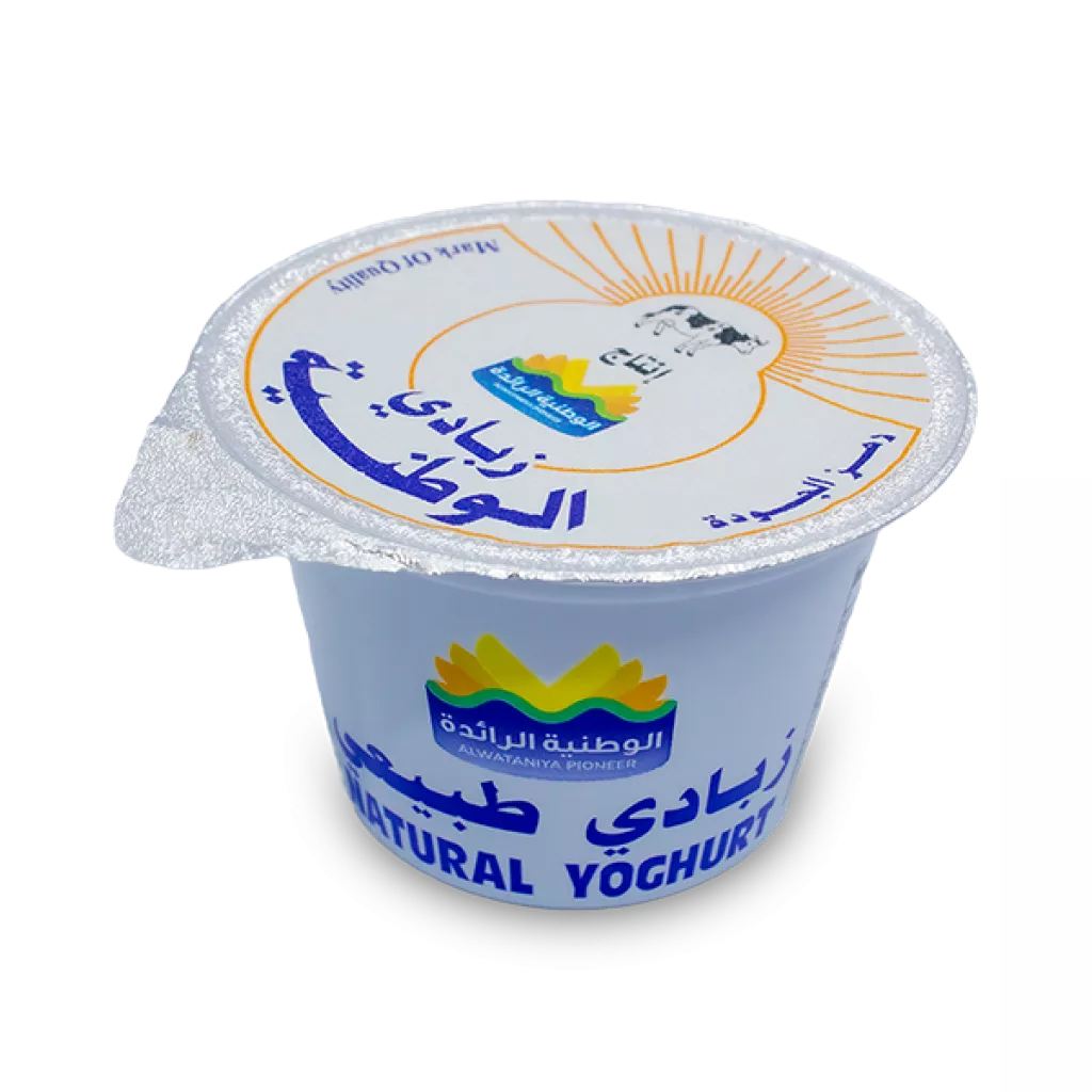 Wataniya Yogurt - 170g