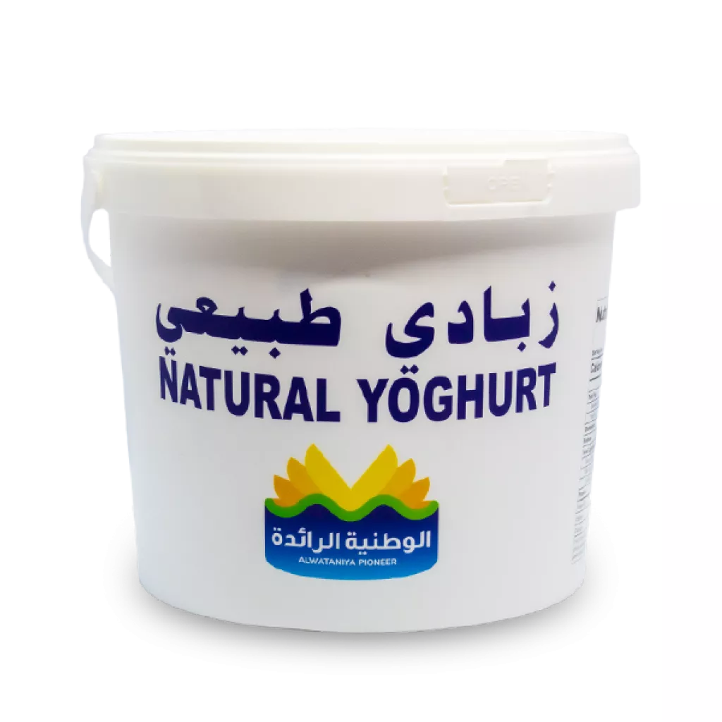 Wataniya Yogurt Bucket - 1g