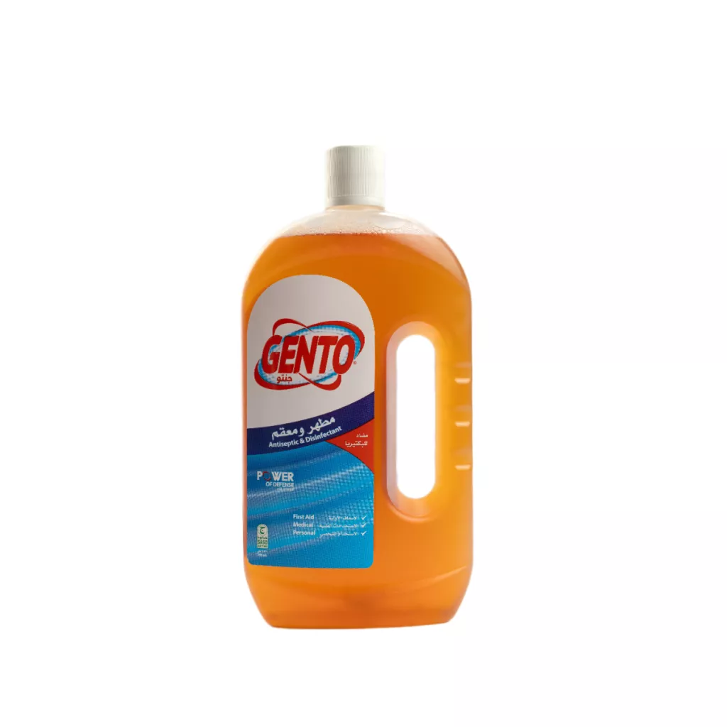 GENTO Antiseptic Liquid 12X750 Ml