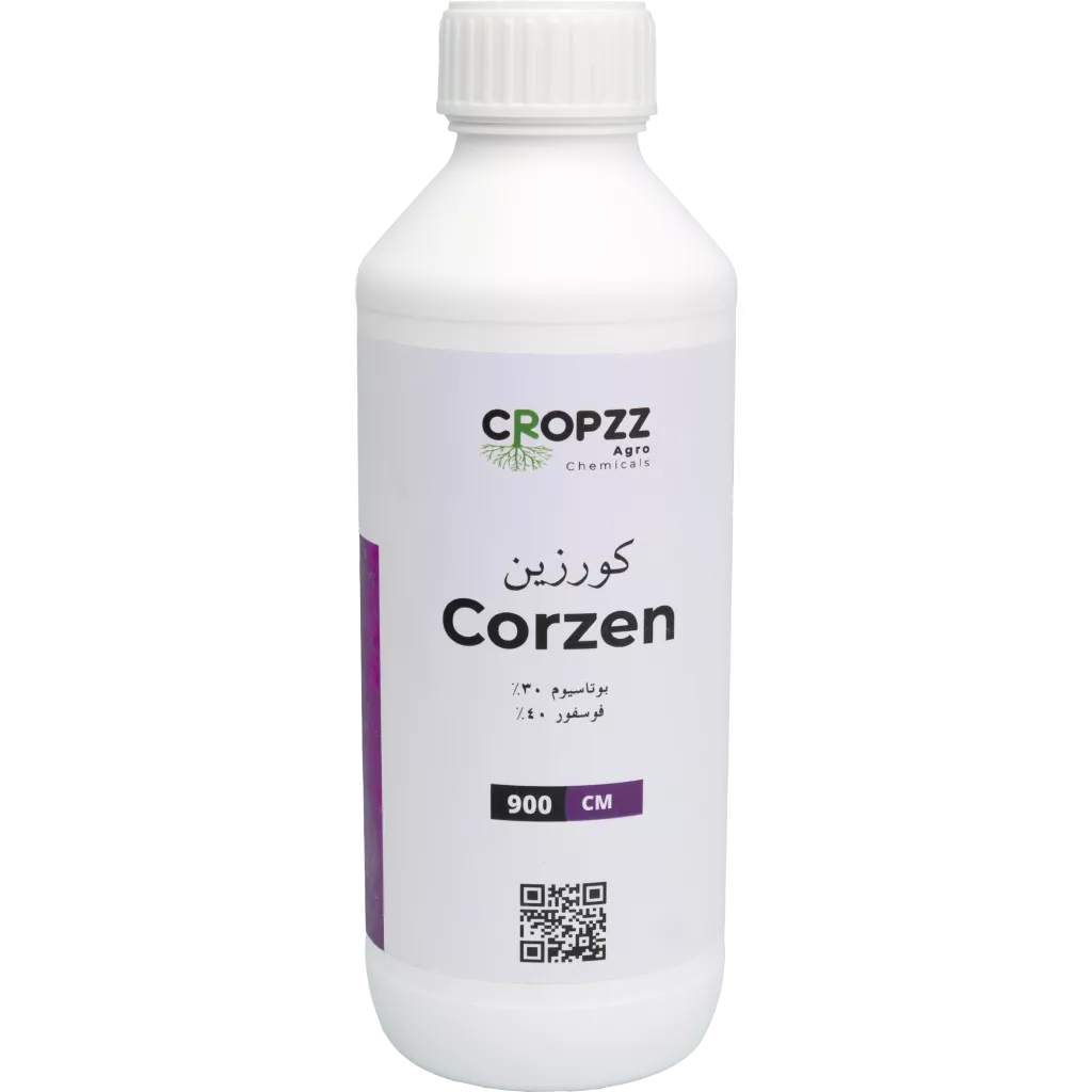 كورزين