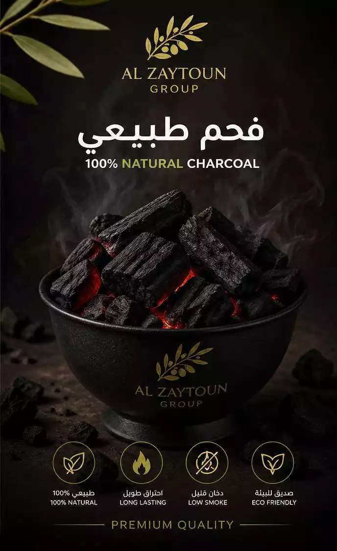 Olive Group for Coal Exports