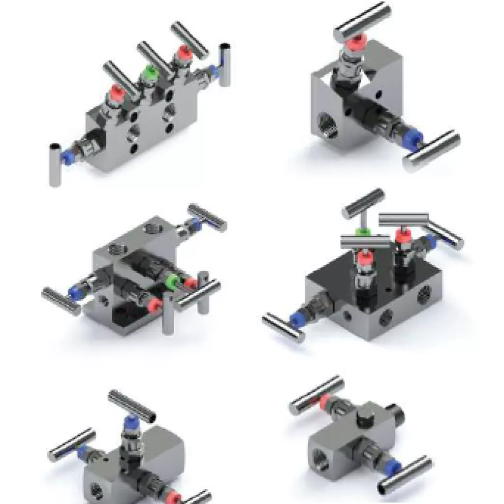Manifold valves