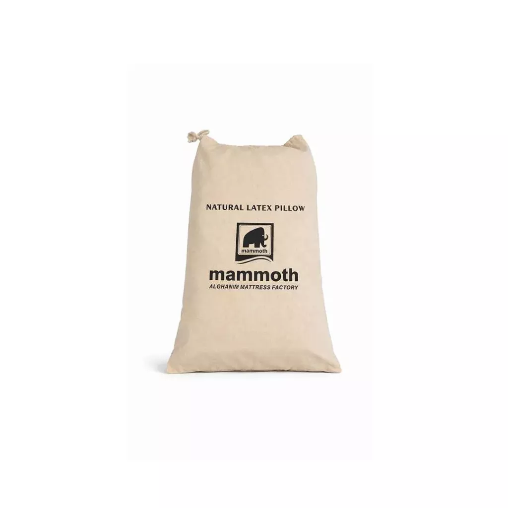 Medical Natural Latex Pillow - High Flexibility & Healthy Support