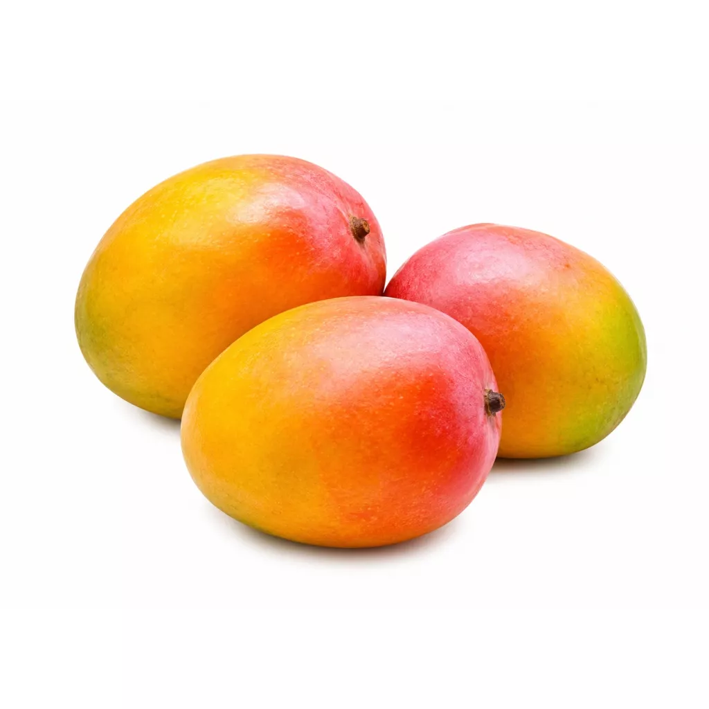 Fruits de mangue frais