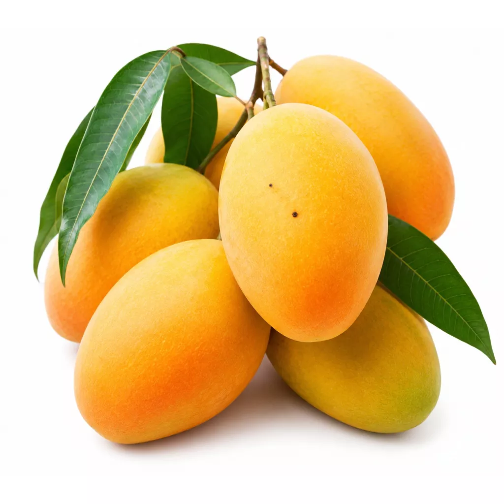 Fruits frais - mangue égyptienne