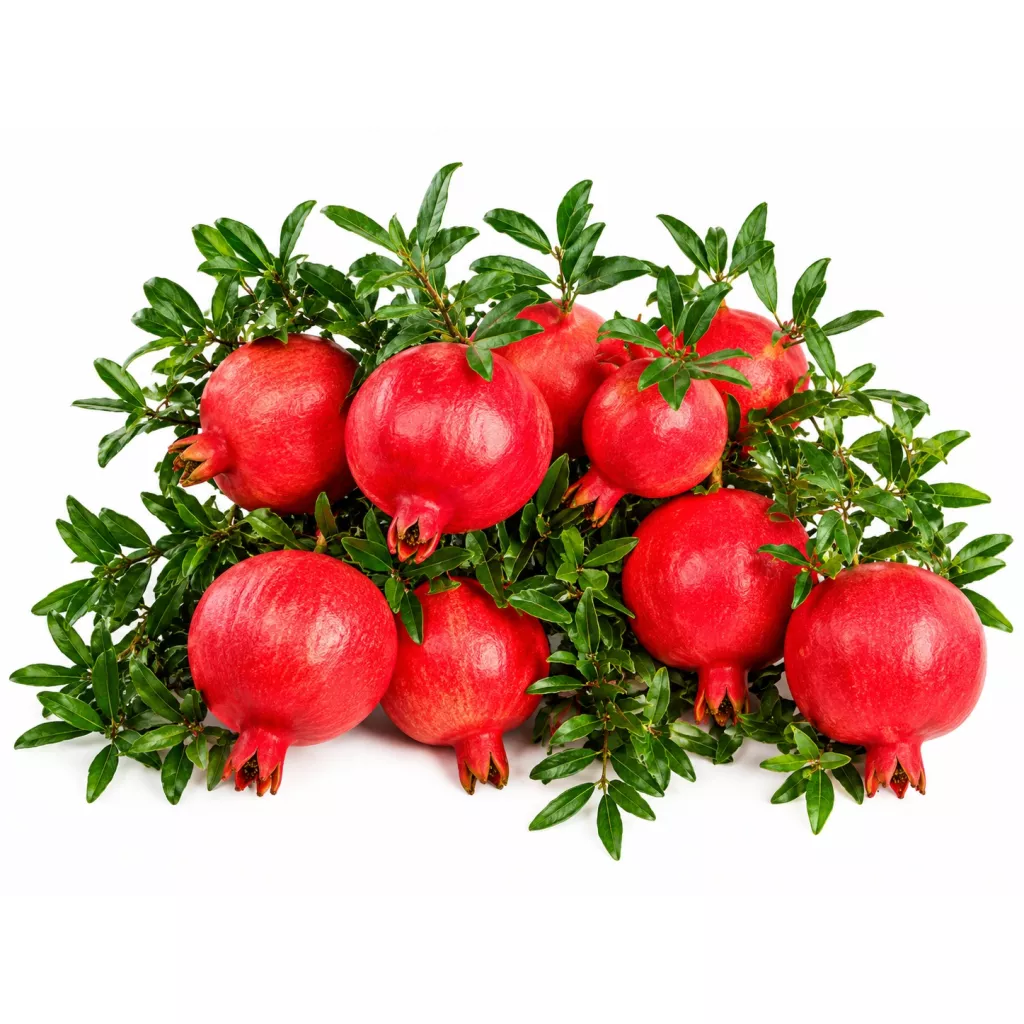 Fruits frais - Grenade Égyptienne
