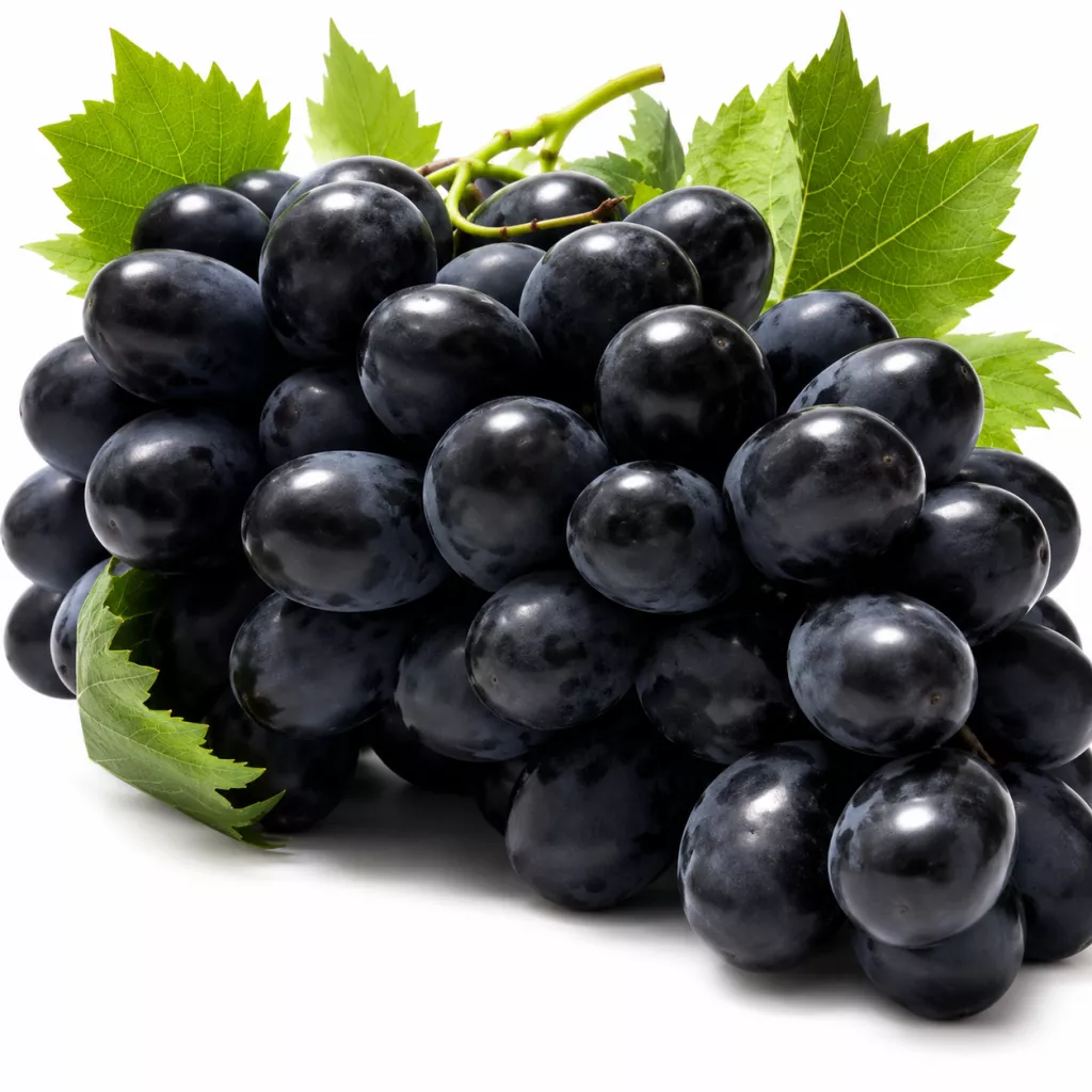 raisin sans pépins - noir