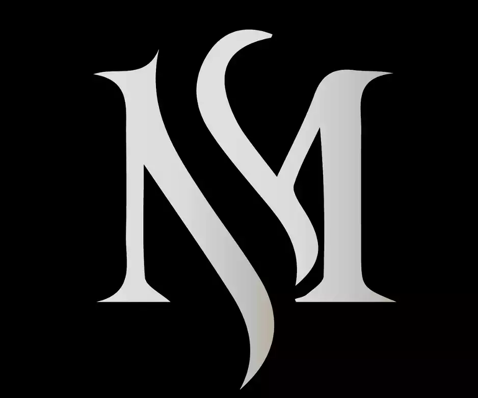 MSN LEATHERS PRIVATE LIMITED