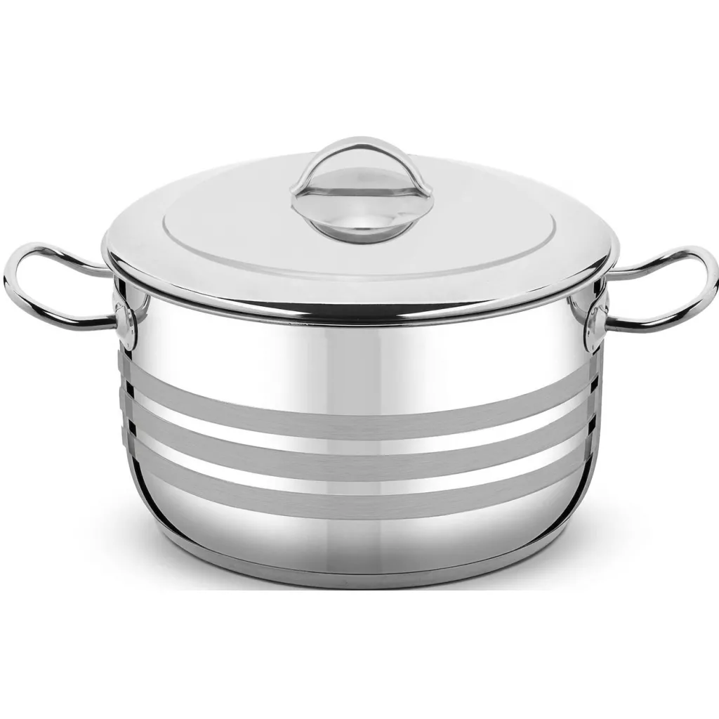 VIOLET  STAINLESS STEEL POT