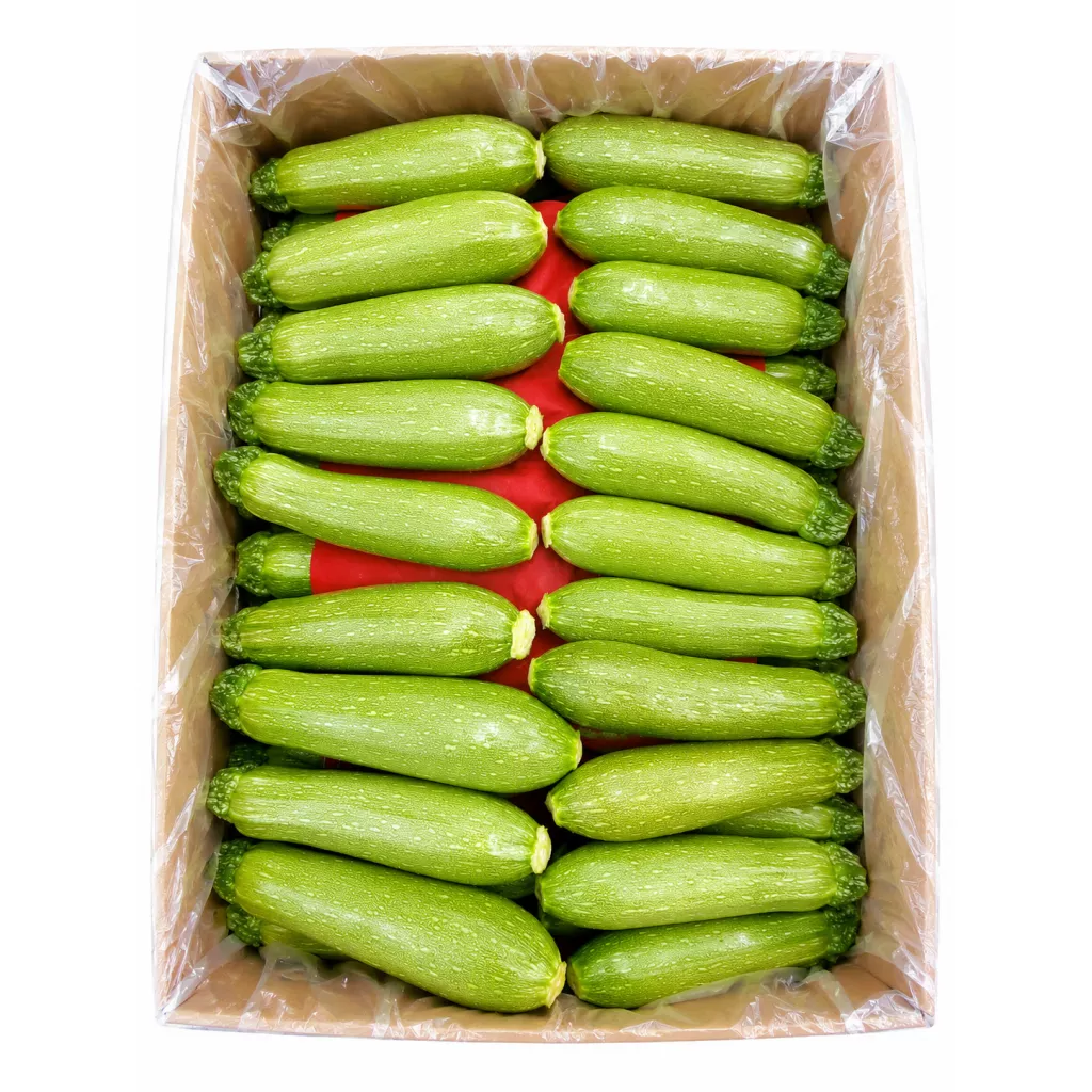(كوسة )