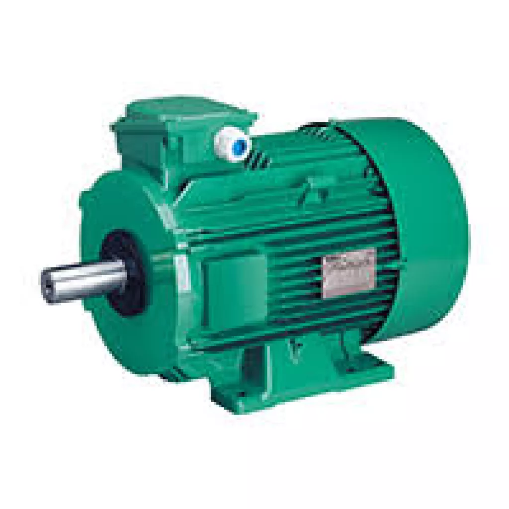 ELECTRIC MOTOR