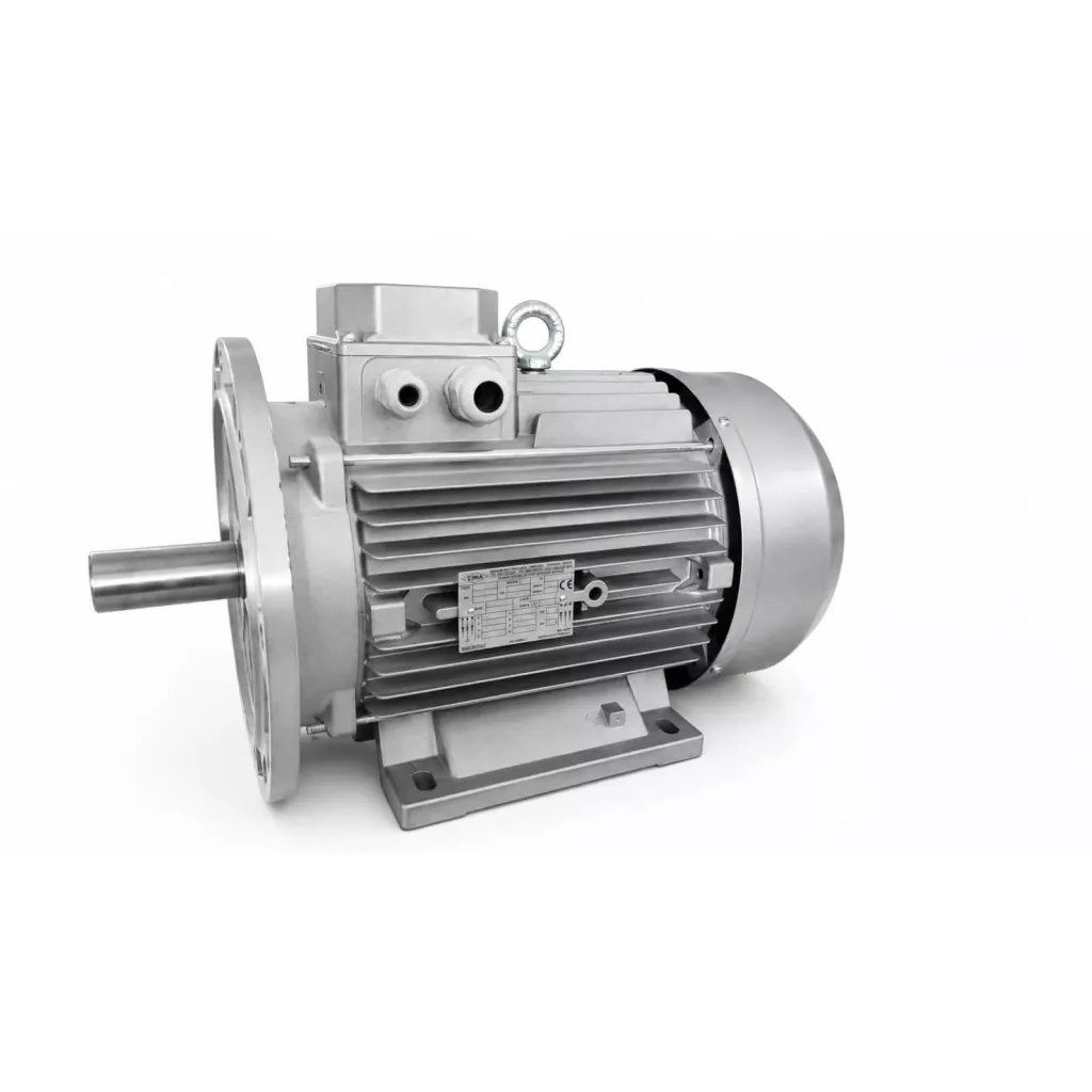 ELECTRIC MOTOR
