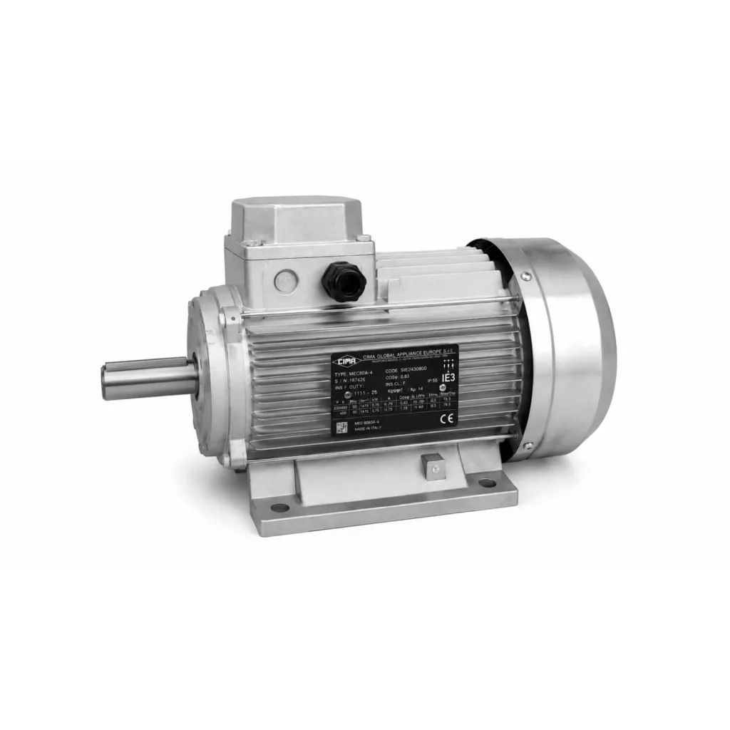 ELECTRIC MOTOR