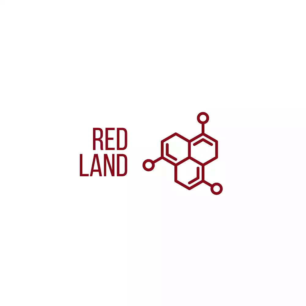 Red Earth Investment Company Closed Joint Stock