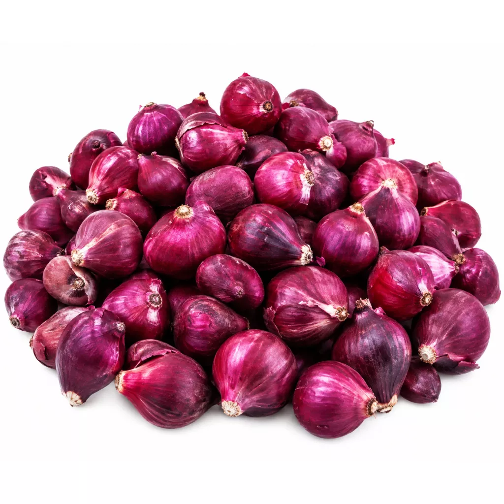 بصل أحمر
