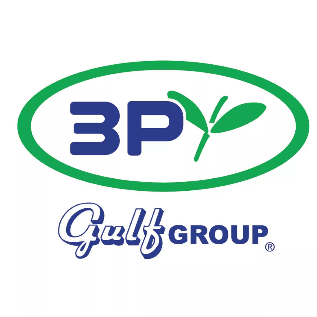 3P gulf Group